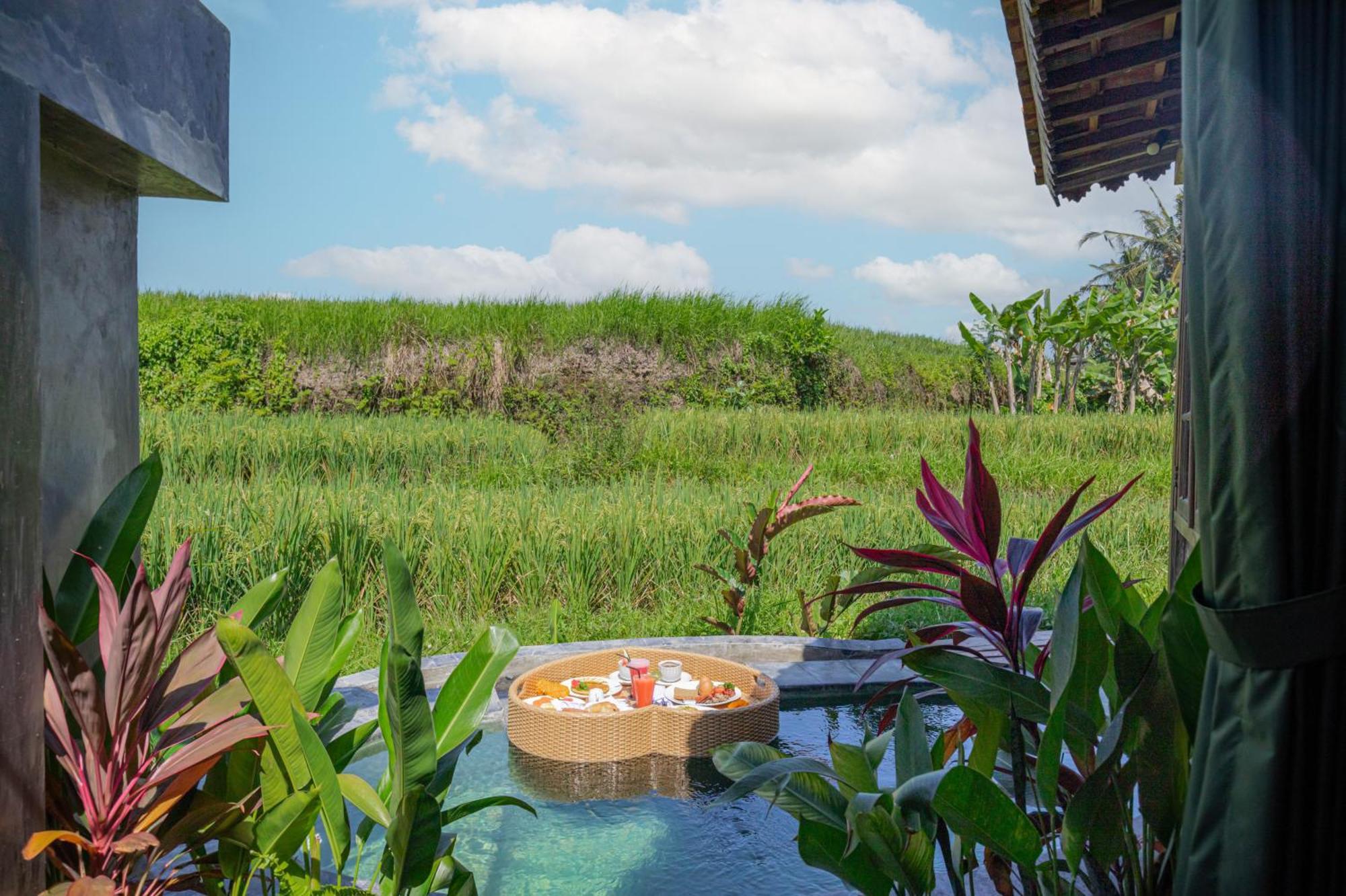 Abian Ubud View エクステリア 写真